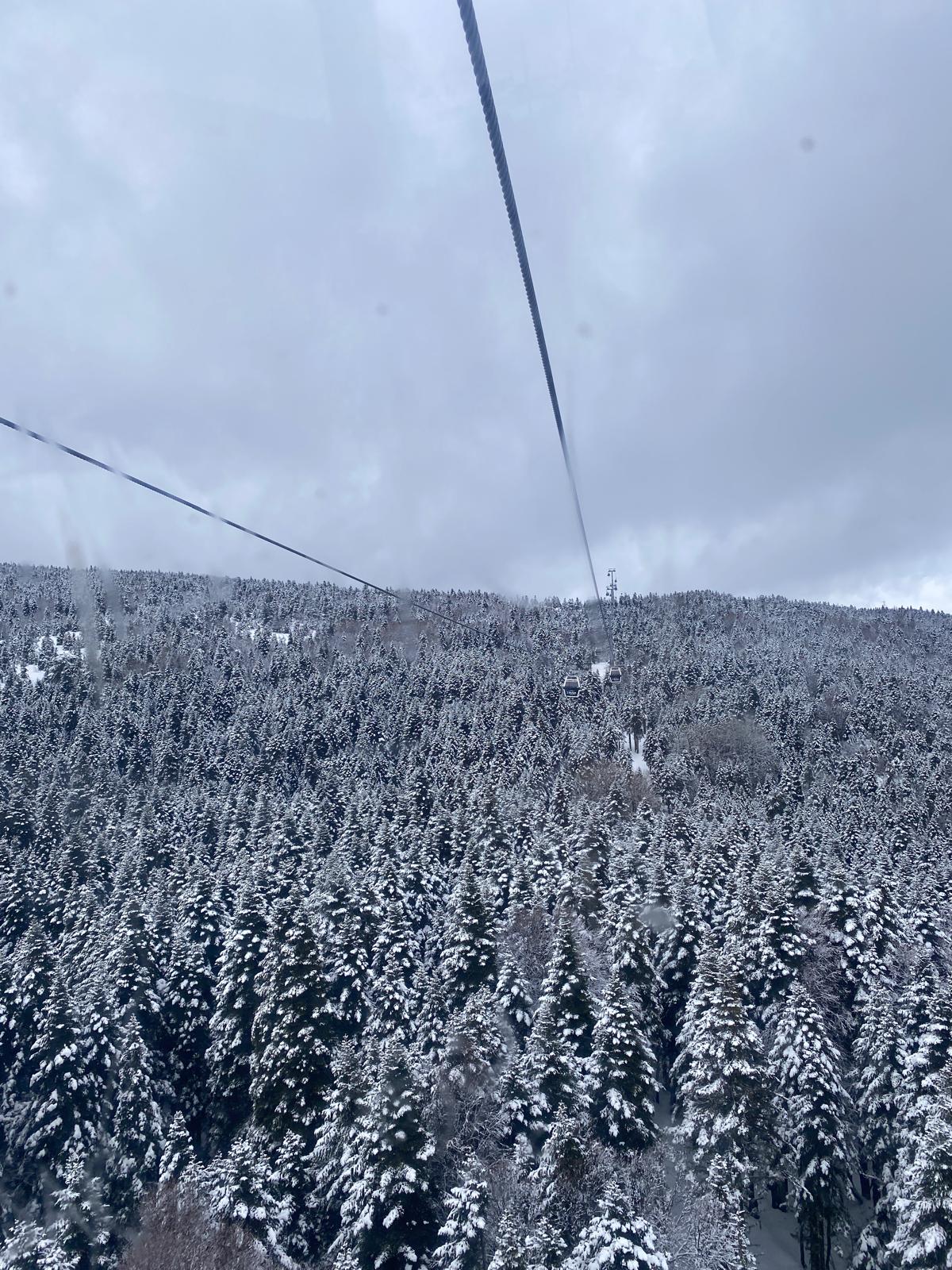 3ab42f47 e2c5 4aab ba9d c2feb2d5311d